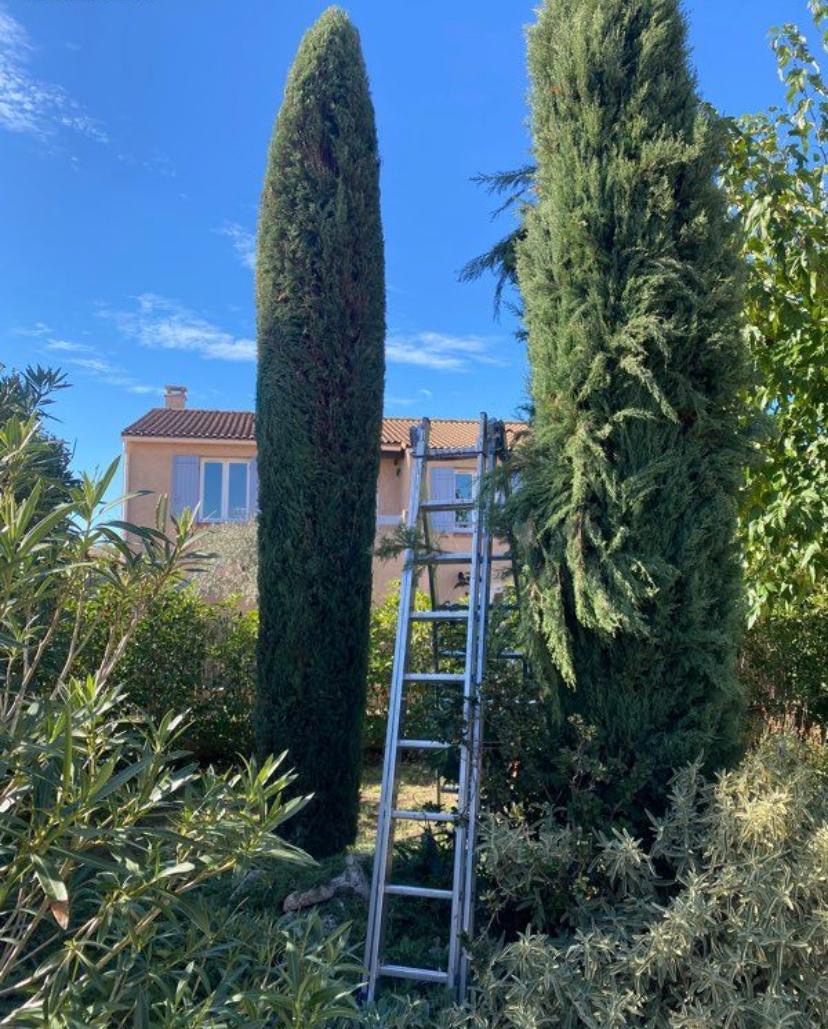 Réalisation élagage